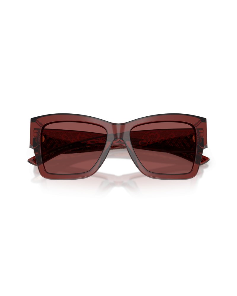Dolce & Gabbana DG 4493 304575 Güneş Gözlüğü - Görsel 3
