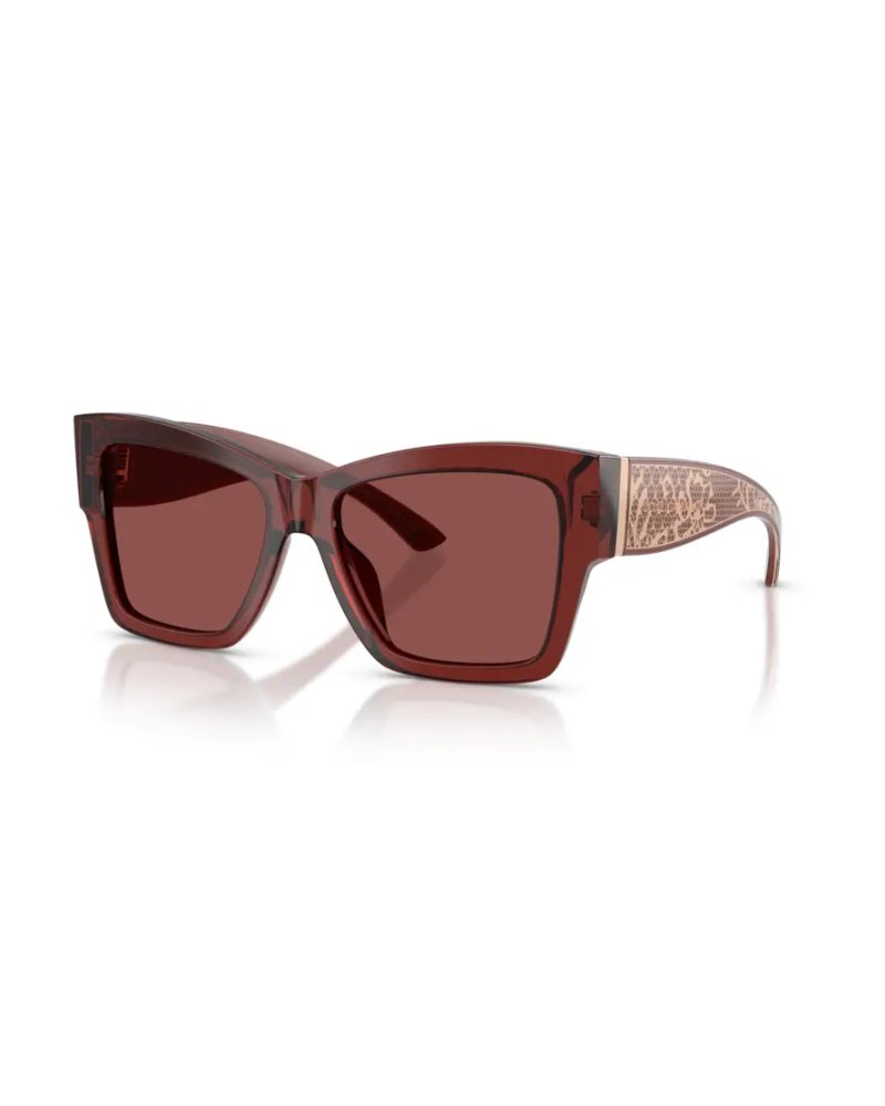 Dolce & Gabbana DG 4493 304575 Güneş Gözlüğü - Görsel 6